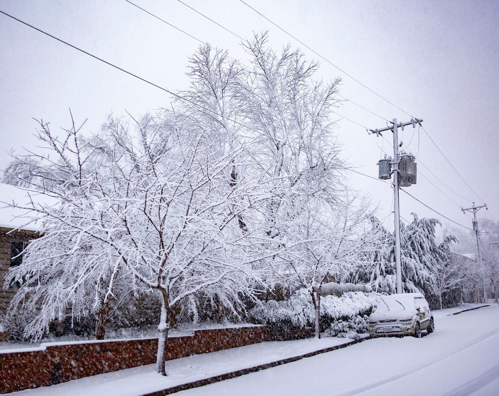 snow day